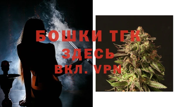 соль ск Арсеньев