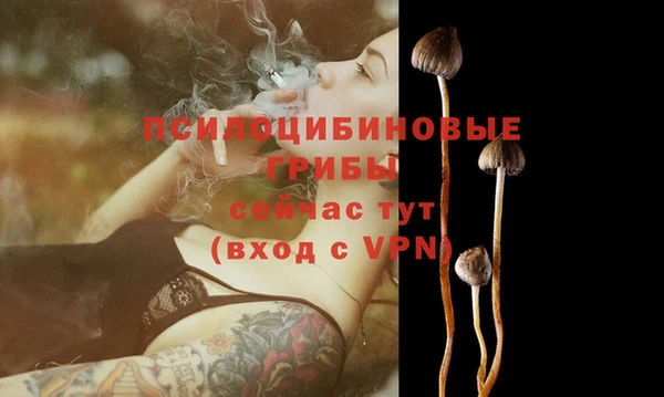 спайс Армянск