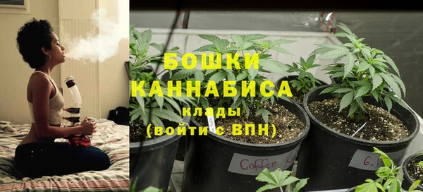 каннабис Аркадак